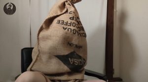 Thumbnail of post image 158